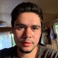 Luis Toledo Vasquez