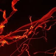 Przemysław Kamiński