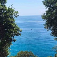 Corti Oris