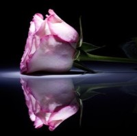 T.N Latha
