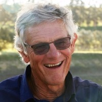 Chris Steyn