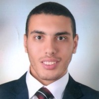 Mahmoud Elsisi