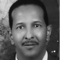 Ahmed Karar, Itil Expert