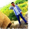 Shaik Rawoof