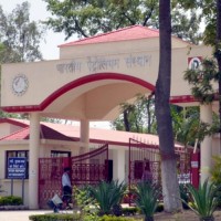 Csir-Iip Dehradun