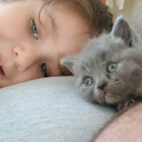 My. Çi̇lgi̇n