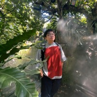 Wong Yao Xiang