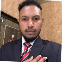 Hozaifa Naiel