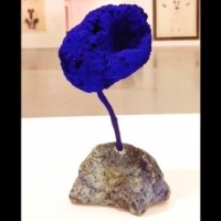 EXHIBITION AND SCENIC PROJECTS. Stephen Edwards