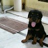 Sachin Kumar
