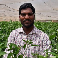 Vithoba Choudki Ph.D.