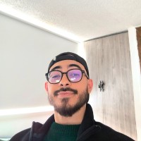 Luis Fernando Mendez Marques