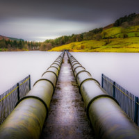 Hydro Maintenance Service