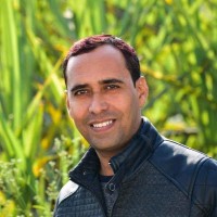 Deepak Dhiman