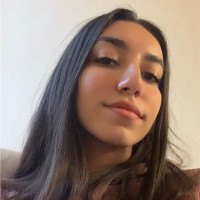 Dina Hassan