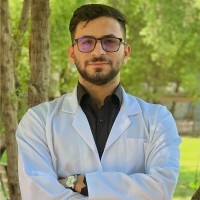 Alaa M. Altayeb