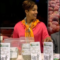 Qawwa coffee Exports