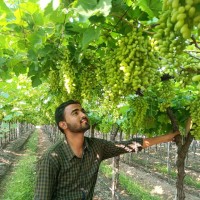 Amit Joke