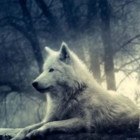 Светлана Петрова