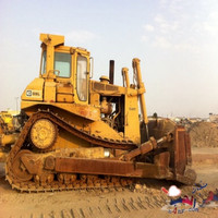 محمد القرشي