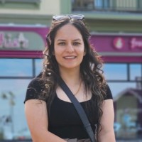 Dr. Basvi Sharma