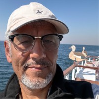 Sherif Baha El Din