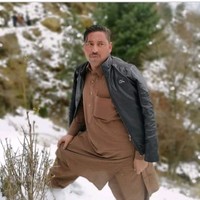 Habib Jan