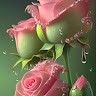 Fasiuddin Syed
