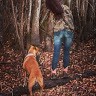 Taylor Alford