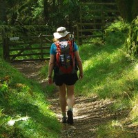 Debbie Eustis-Grandy