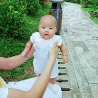 胡志宝