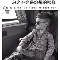 杨冬红
