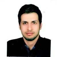 mohsen hamedi