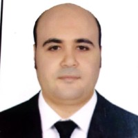 Mohamed Shokry
