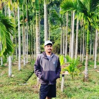 Durgaprasad P
