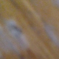 J C