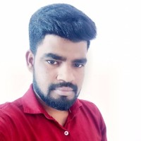 Bharathiraja N