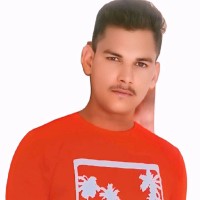 Surendra Singh Lodhi