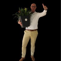 Bert de Wit
