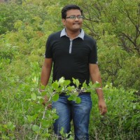 K V Praveen Kumar