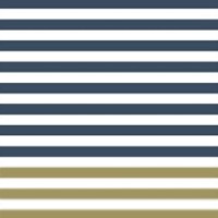 Van Beek Tegelprojecten