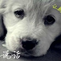 周宗亮