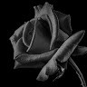 Relaxing Music Chanel
