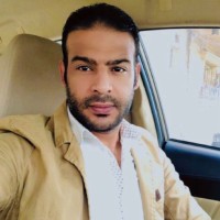 Alaa Elashry