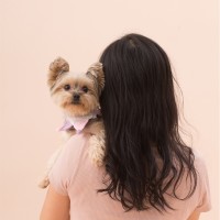 Charlotte Cheung