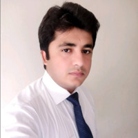 Muhammad Awais Saleem