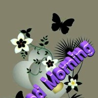 Anans Kumar