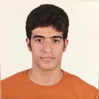 Mahmoud Elgayar