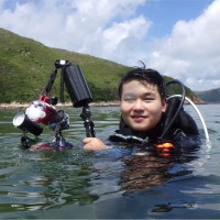 Matthew Cheng