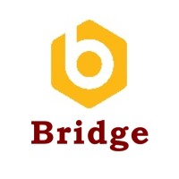 Bridge Consultants